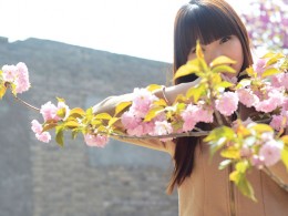 樱花之悦