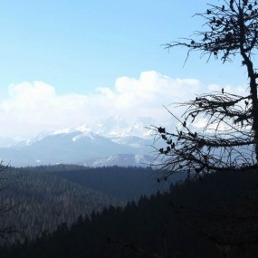 3月里的香格里拉