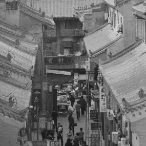 新手拍摄，请多点评。