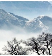 银妆素裹大南山