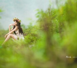 山谷里的春天