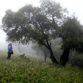 陇县老爷岭，关中避暑好地方