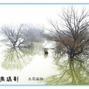 水墨灞柳
