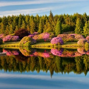 宽幅与倒影世界