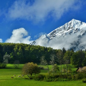 雪山下