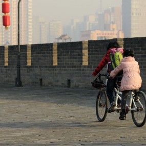 亲情无处不在