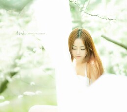 李花似梦