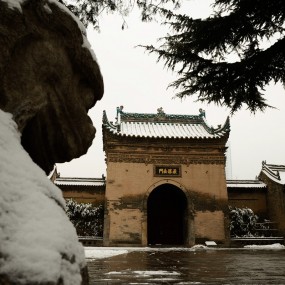 雪映荐福