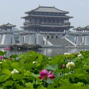 荷花（大唐芙蓉园-2015）