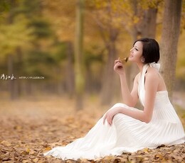 秋日如梦
