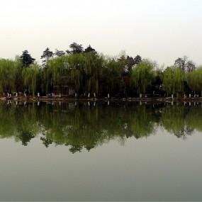春回大地
