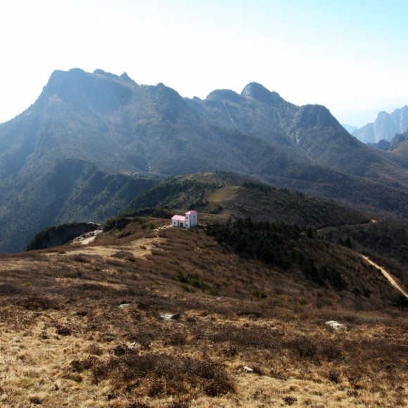 高山草甸