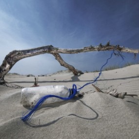 自選典藏：足不出戶，縱觀天下（二）