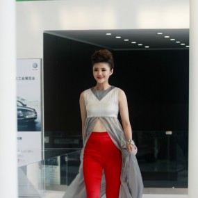 2011年车展
