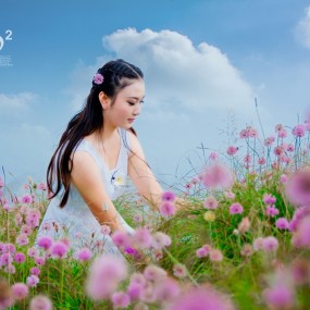山花烂漫时！