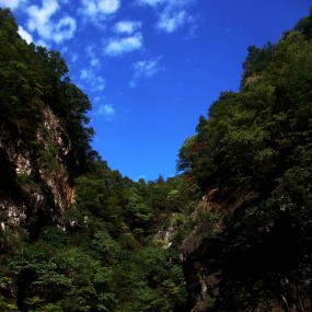 秦岭蒿沟