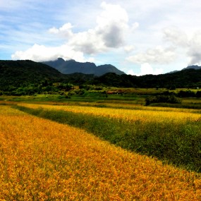 台湾风光