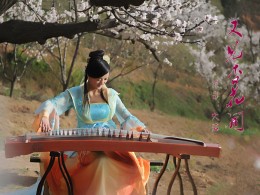 又见杏花开