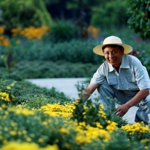 西安植物园的园丁