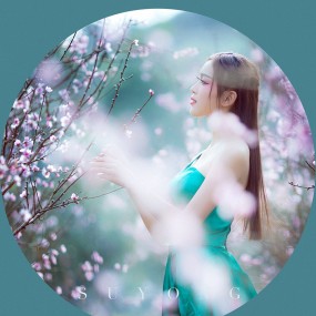 花之颜