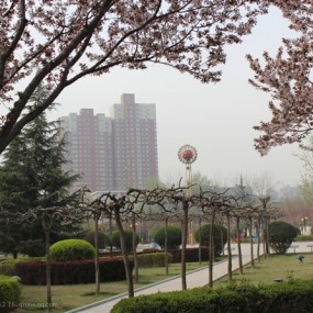 西航一景