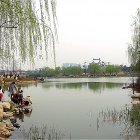 春光