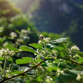 好久没来发片了！继续。。。希望大家多多支持，多多指教