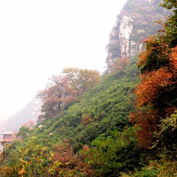 子午峪的秋天