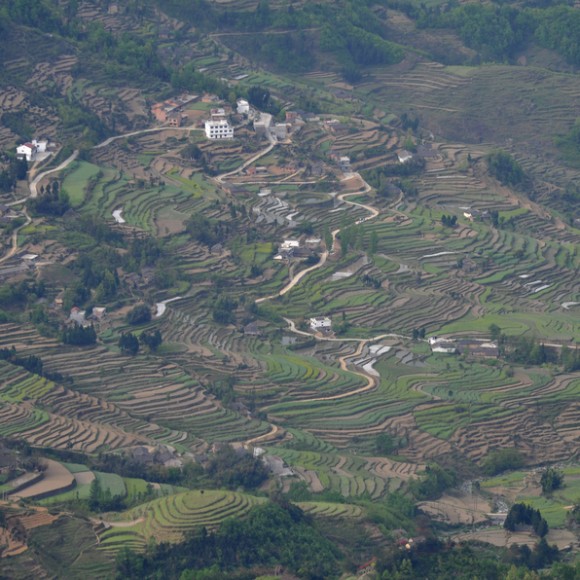 凤堰古梯田