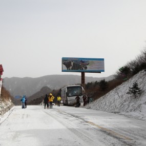 雪中的鹿角梁