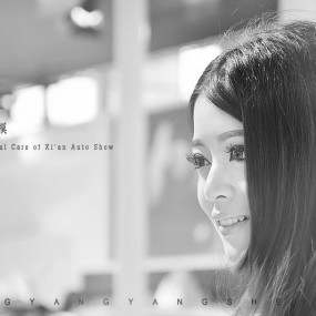 2012十月西安绿地精品车模