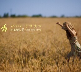 麦香