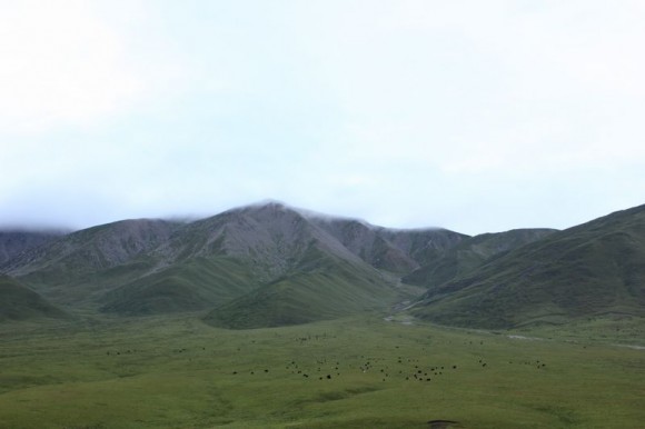 拉鸡山小景
