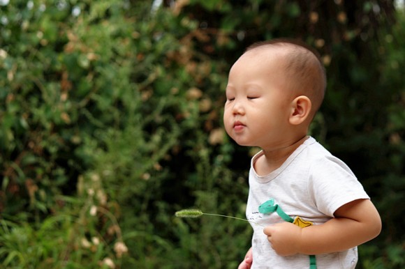 傻小子寻秋