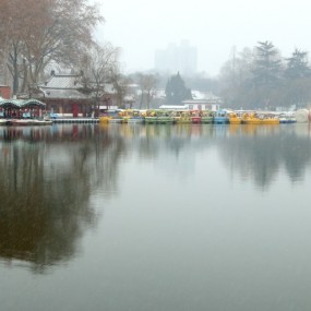 雪景随拍