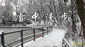 雪中漫步