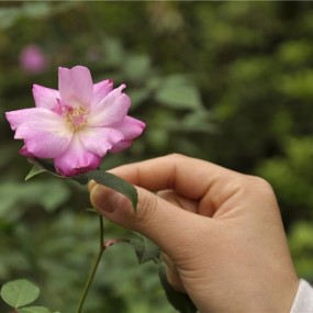 花屋