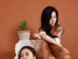 姐妹画