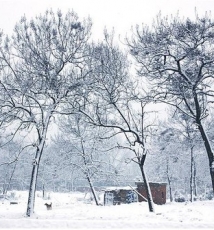 专业摄影师的绝妙9招教你如何拍雪景