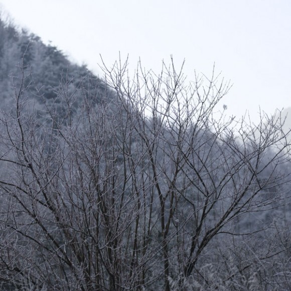 草甸P后请批批