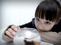 大眼睛的美眉