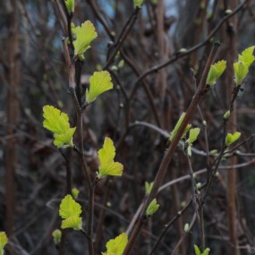 早春3月