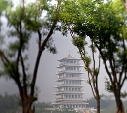 世园公园模特大赛作业