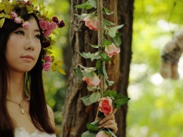 花之梦