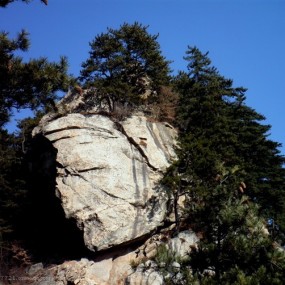 沉思····