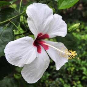 杨陵博览园--花、草、果