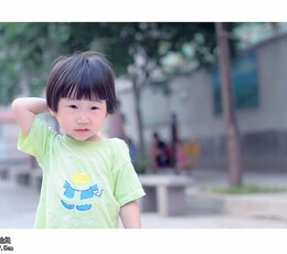 我家的小车模