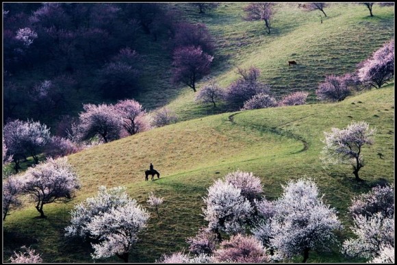 杏花沟风光