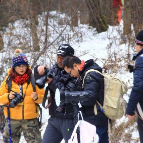 【梦缘】唯美雪地人像外拍主题创作花絮