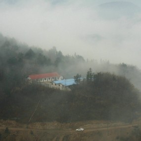 青岗坪云雾